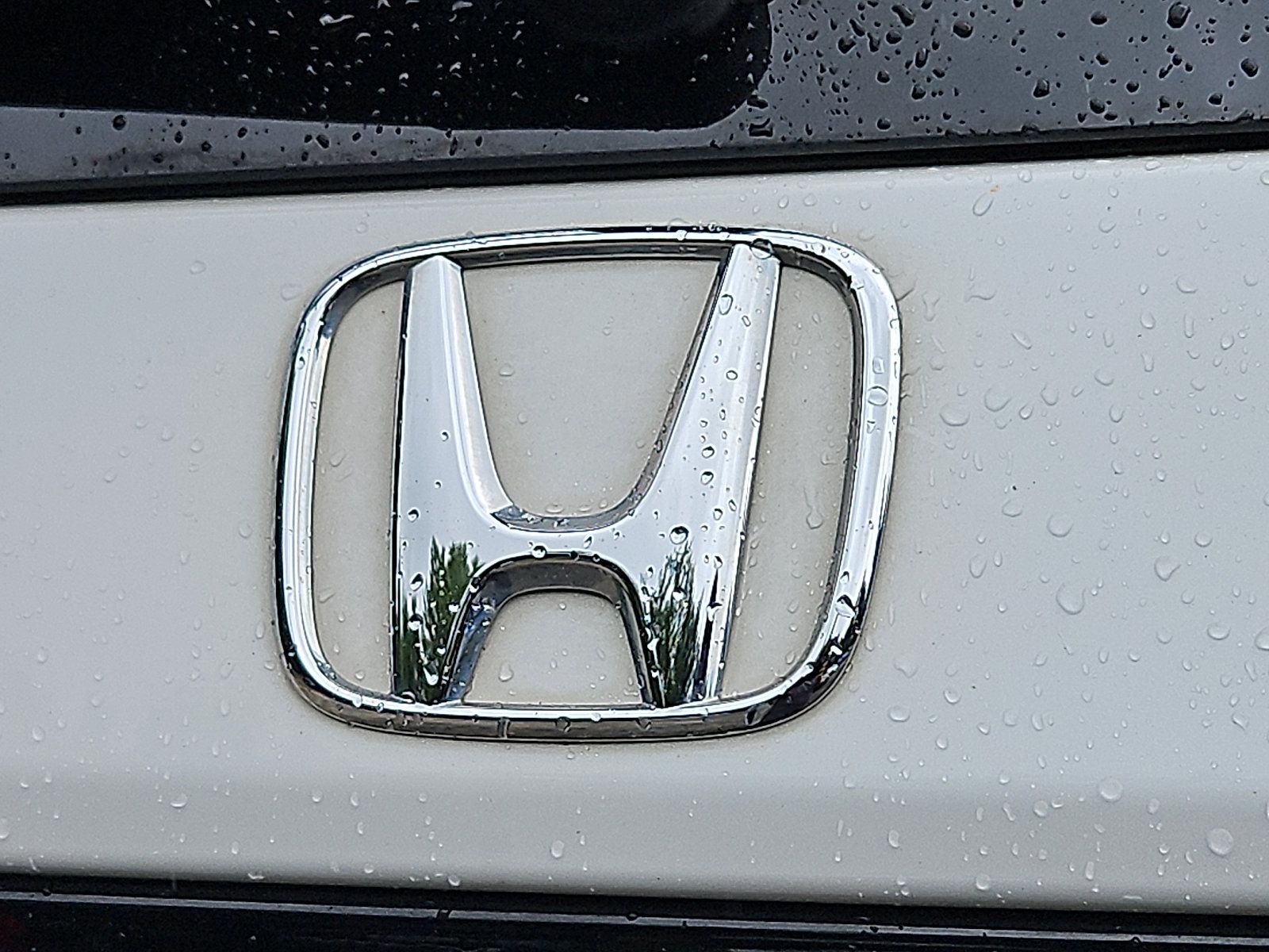 Certified 2023 Honda Pilot TrailSport image 33