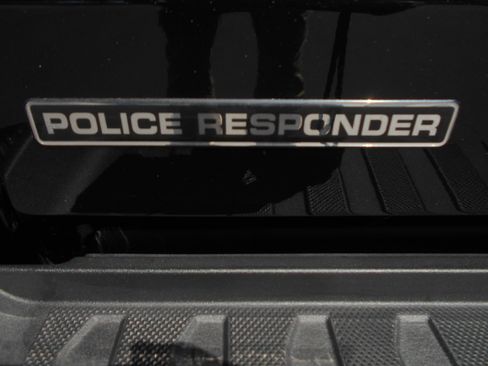 New 2025 Ford F150 XL image 12