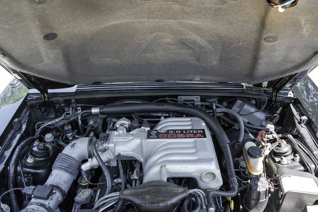 Used 1993 Ford Mustang Cobra RWD image 23