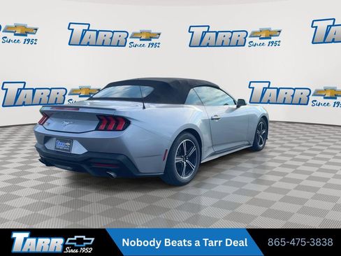 Used 2025 Ford Mustang Premium RWD image 8