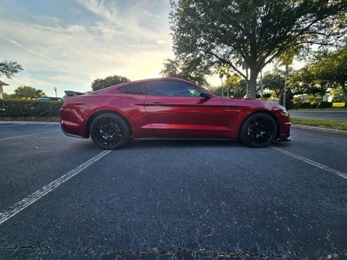 Used 2019 Ford Mustang Coupe w/ Equipment Group 101A RWD image 3