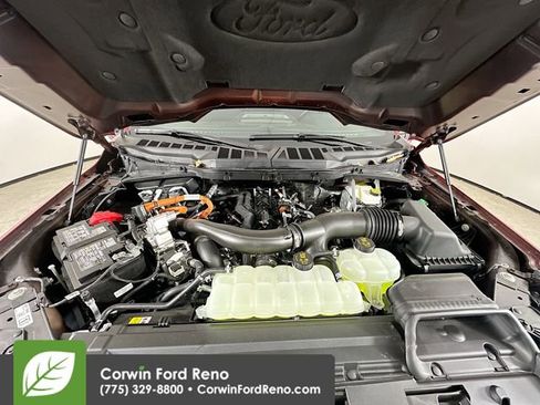 New 2025 Ford F150 XLT w/ Equipment Group 302A MID image 31