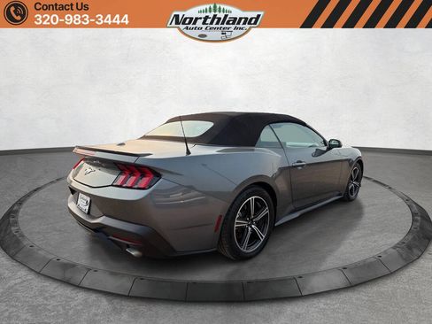 Used 2025 Ford Mustang Premium RWD image 5