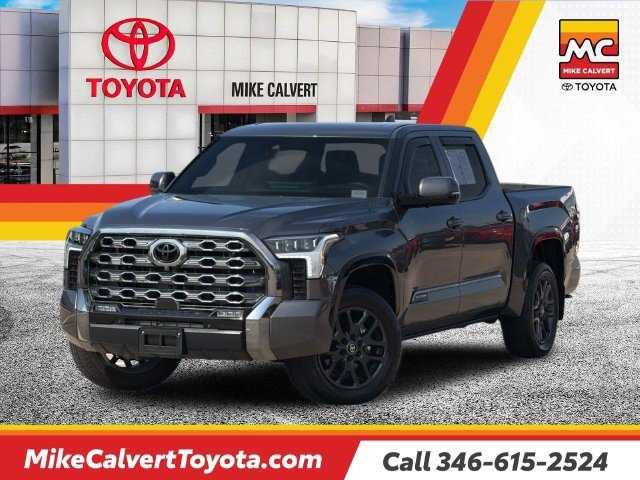 Used 2025 Toyota Tundra Platinum AWD/4WD image 1