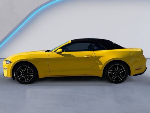 Used 2018 Ford Mustang Premium w/ Equipment Group 201A image 6