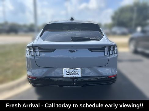 Used 2025 Ford Mustang Mach-E Premium w/ Sport Appearance Package AWD/4WD image 5