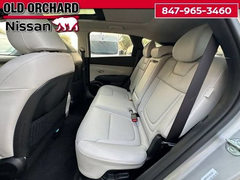Used 2025 Hyundai Tucson Limited AWD/4WD image 12