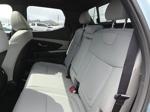 New 2025 Hyundai Santa Cruz Limited image 14