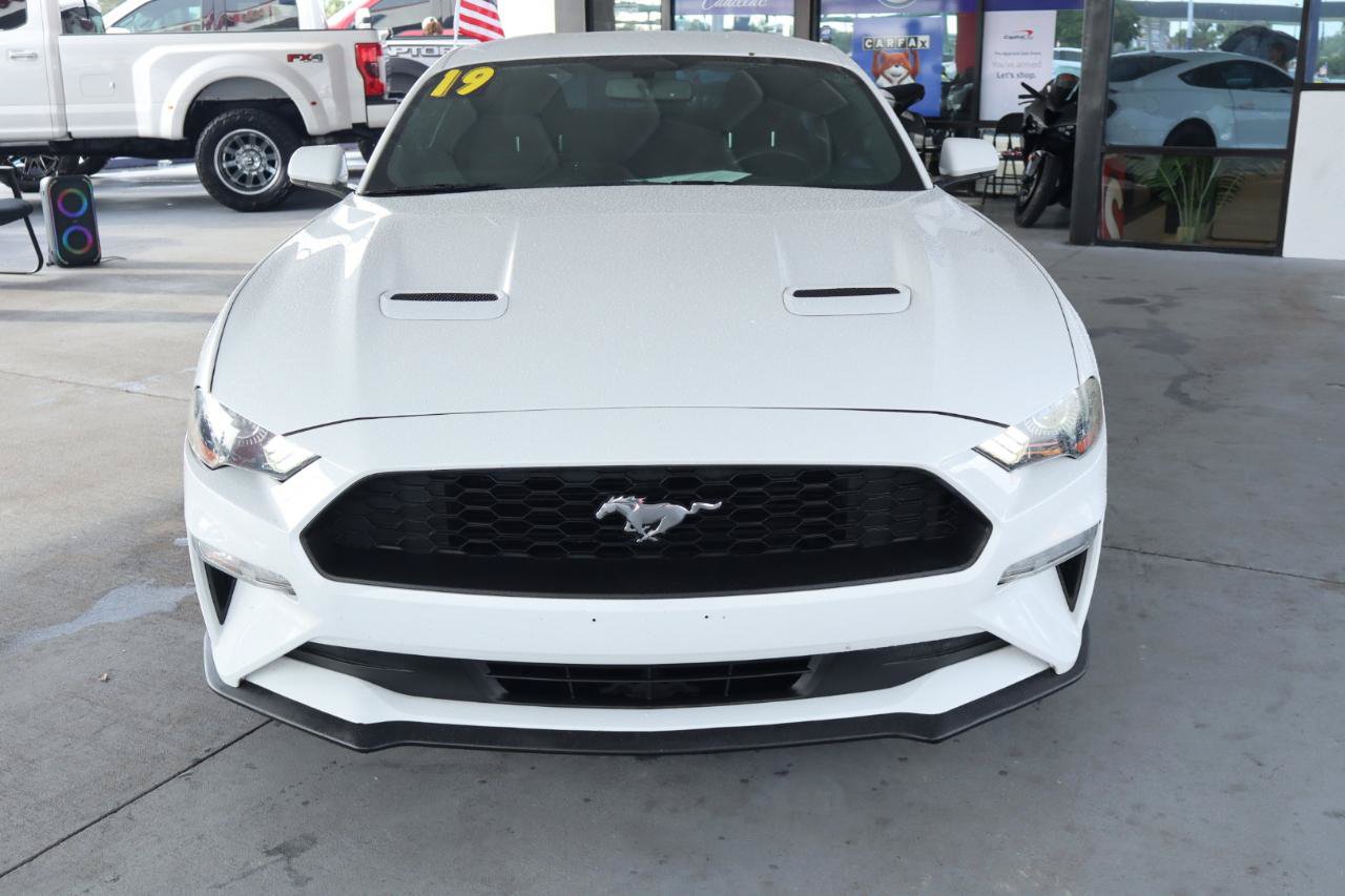 Used 2019 Ford Mustang Coupe RWD image 13