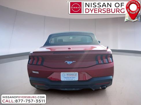 Used 2024 Ford Mustang Premium RWD image 4