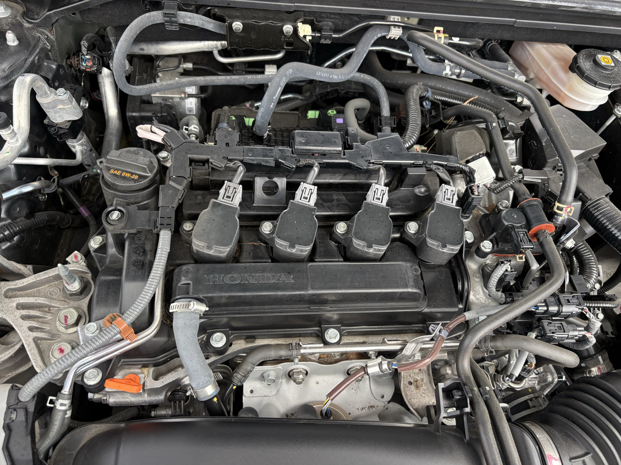 Certified 2024 Honda Civic EX-L image 29