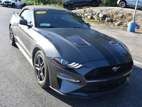 Used 2019 Ford Mustang Premium RWD image 9