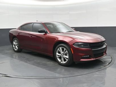 Used 2023 Dodge Charger SXT w/ Blacktop Special Edition
