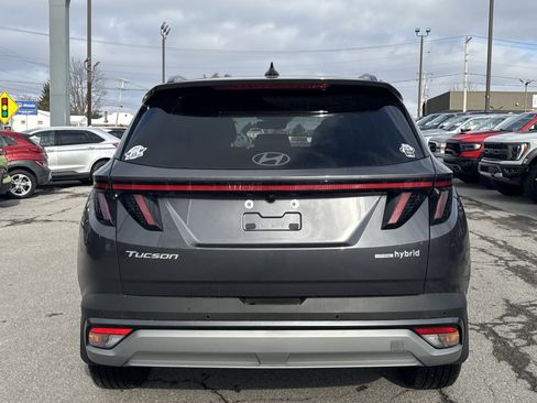 Used 2025 Hyundai Tucson Limited image 4