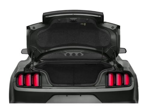 Used 2015 Ford Mustang Premium w/ 50 Years Appearance Package RWD image 13