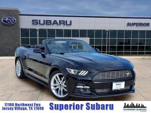 Used 2017 Ford Mustang Premium w/ Equipment Group 201A RWD image 1