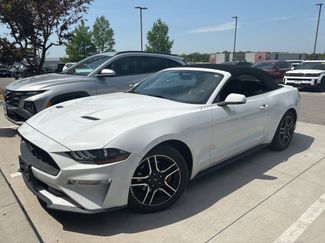 Used 2019 Ford Mustang Premium RWD video 1