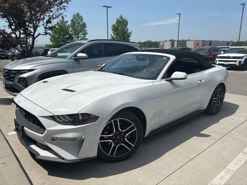 Used 2019 Ford Mustang Premium RWD image 1