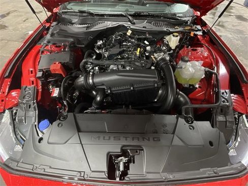 New 2025 Ford Mustang EcoBoost image 21