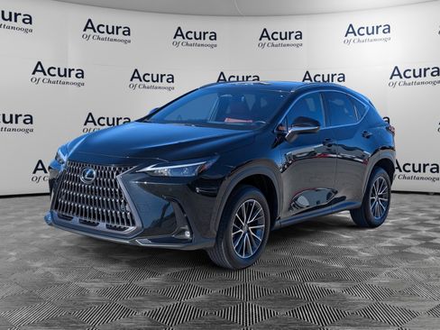 Used 2024 Lexus NX 350h AWD w/ Premium Package image 4