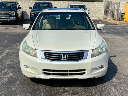 Used 2010 Honda Accord EX-L image 3