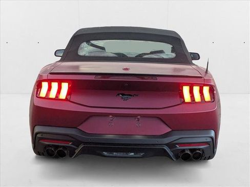 New 2025 Ford Mustang Premium w/ Mustang Nite Pony Package image 8
