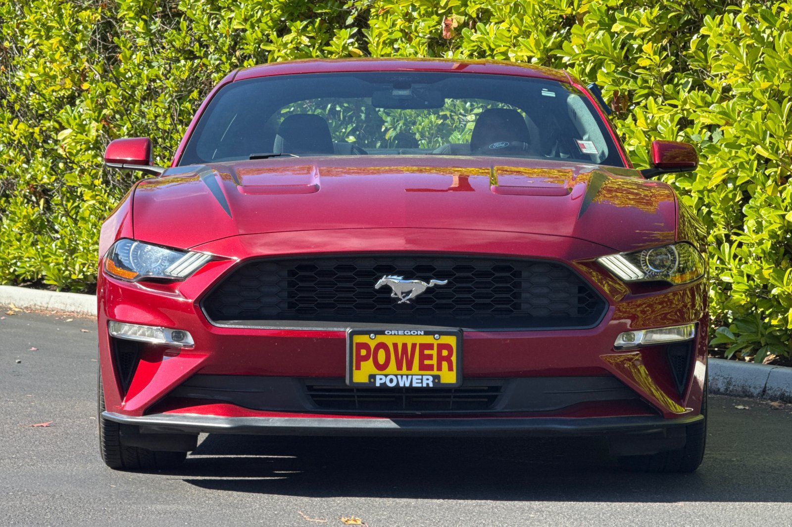 Used 2018 Ford Mustang Coupe RWD image 9