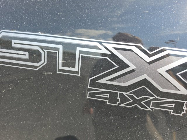 Used 2022 Ford F150 XL w/ STX Black Appearance Package AWD/4WD image 4