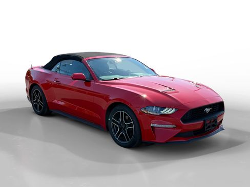 Used 2023 Ford Mustang Premium image 7
