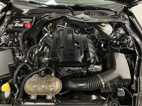 Used 2019 Ford Mustang Convertible w/ Equipment Group 101A image 14