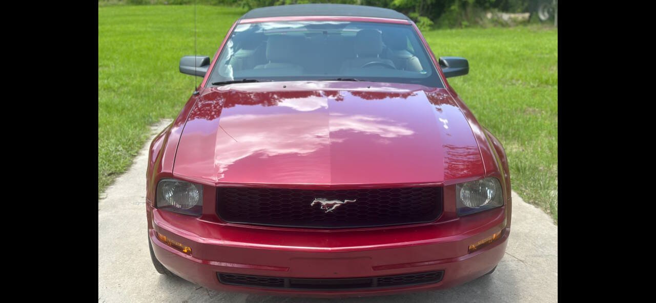 Used 2005 Ford Mustang Convertible RWD image 9