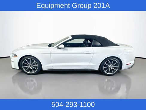 Used 2019 Ford Mustang Premium w/ Equipment Group 201A RWD image 10