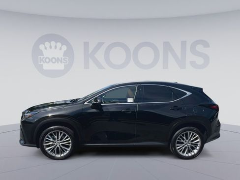 Used 2025 Lexus NX 350 AWD w/ Accessory Package (2T) image 7