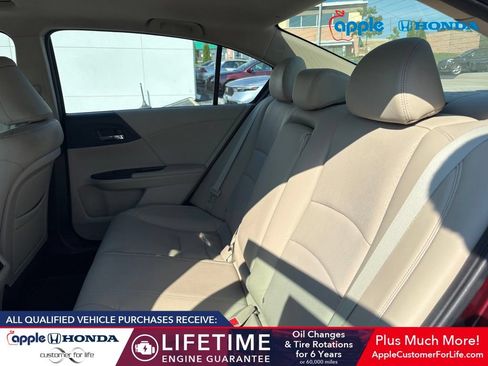 Used 2013 Honda Accord EX-L image 5