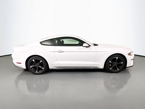 Used 2019 Ford Mustang Coupe RWD image 11