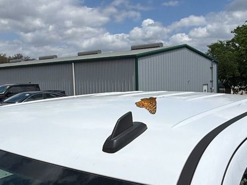 Used 2018 Chevrolet Silverado 1500 LT w/ Texas Edition image 12