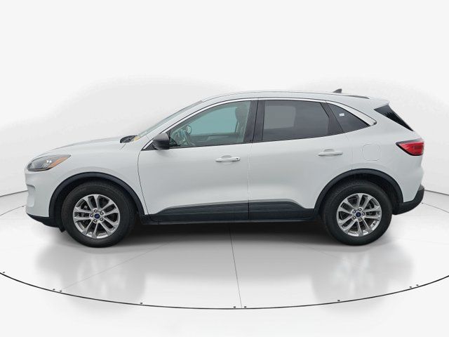 Used 2022 Ford Escape SE w/ Convenience Package FWD image 6