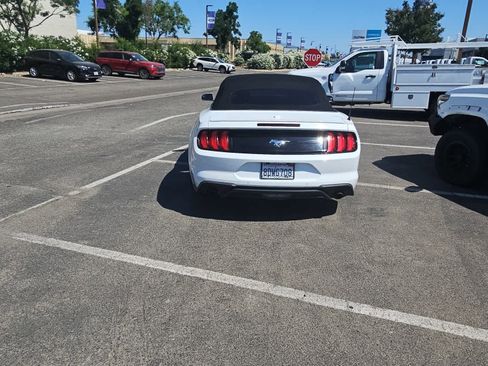 Used 2018 Ford Mustang Premium w/ Equipment Group 201A RWD image 7