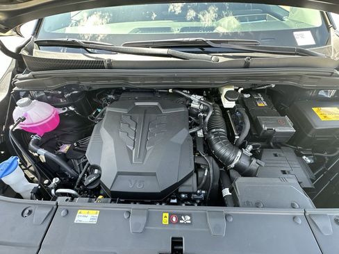 New 2026 Kia Carnival SX Prestige image 20