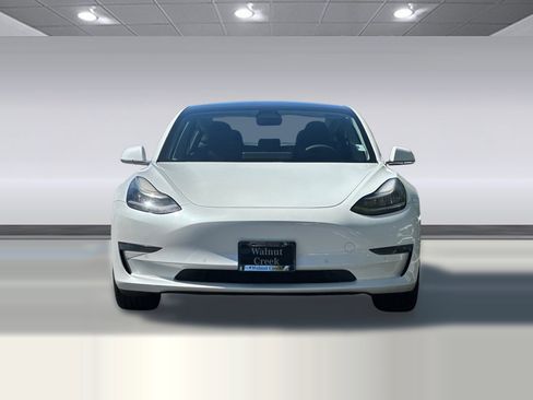 Used 2019 Tesla Model 3 Long Range AWD/4WD image 5