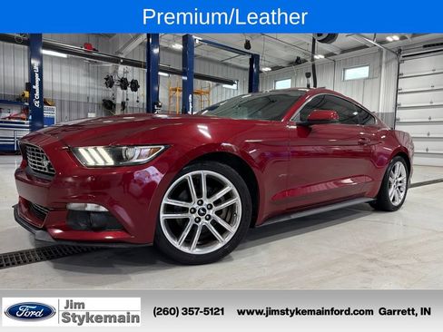 Used 2016 Ford Mustang Premium w/ Equipment Group 201A RWD image 1