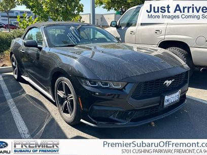 Used 2024 Ford Mustang Premium