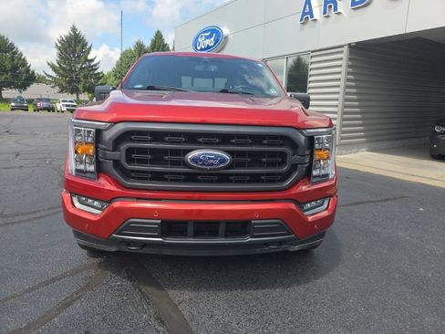Used 2023 Ford F150 XLT w/ Equipment Group 302A High AWD/4WD image 4