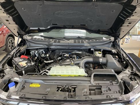 New 2025 Ford F150 XLT w/ Equipment Group 302A MID image 27