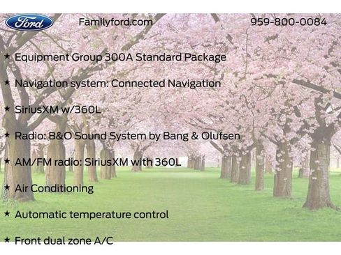 New 2025 Ford Mustang Mach-E Premium image 10