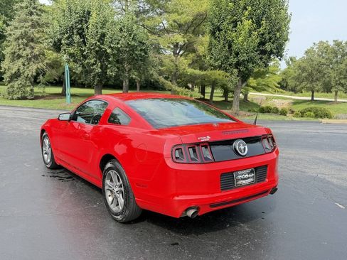 Used 2014 Ford Mustang Premium RWD image 4