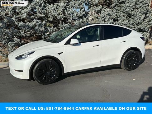 Used 2021 Tesla Model Y Long Range image 1