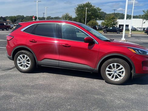 Used 2020 Ford Escape SE AWD/4WD image 3