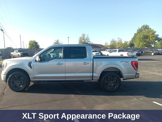 Used 2022 Ford F150 XLT w/ Equipment Group 302A High AWD/4WD image 6