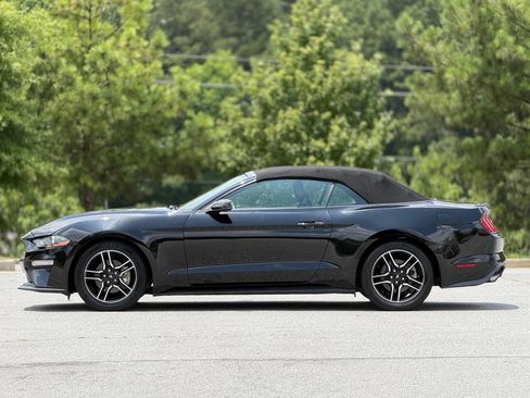 Used 2019 Ford Mustang Premium RWD image 9